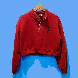 H&M Rose Quarter Zip top